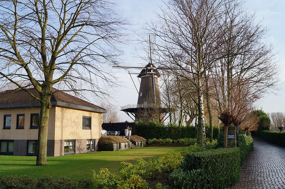 1, Molen 02473 De Beijenkorf (De Hoop) (Maurik), Boukje van Leijen (17-12-2015) | Database Nederlandse molens