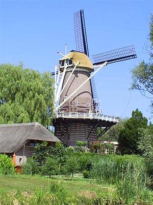 2, Molen 02473 De Beijenkorf (De Hoop) (Maurik), Gerrie Hogendoorn (17-6-2006). De molen in de laatste fase van de rehabilitatie. Er wordt nog aan gewerkt maar het meeste zit er al.  | Database Nederlandse molens