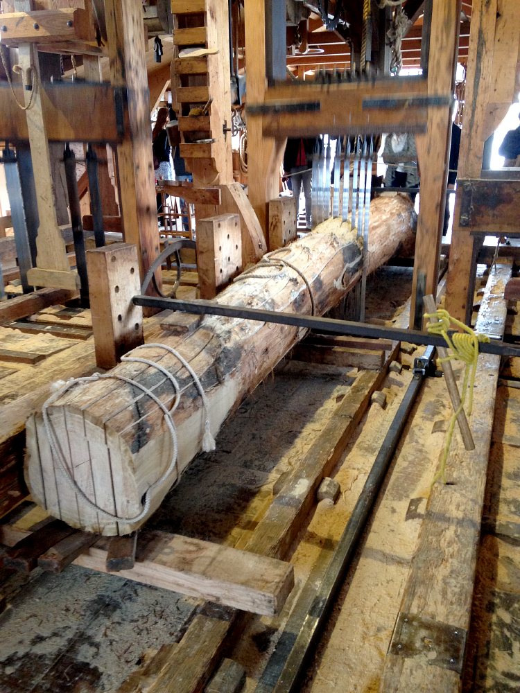 16, Molen 10139 Het Jonge Schaap (Zaandam), Bernhard IJskes (9-6-2017) | Database Nederlandse molens