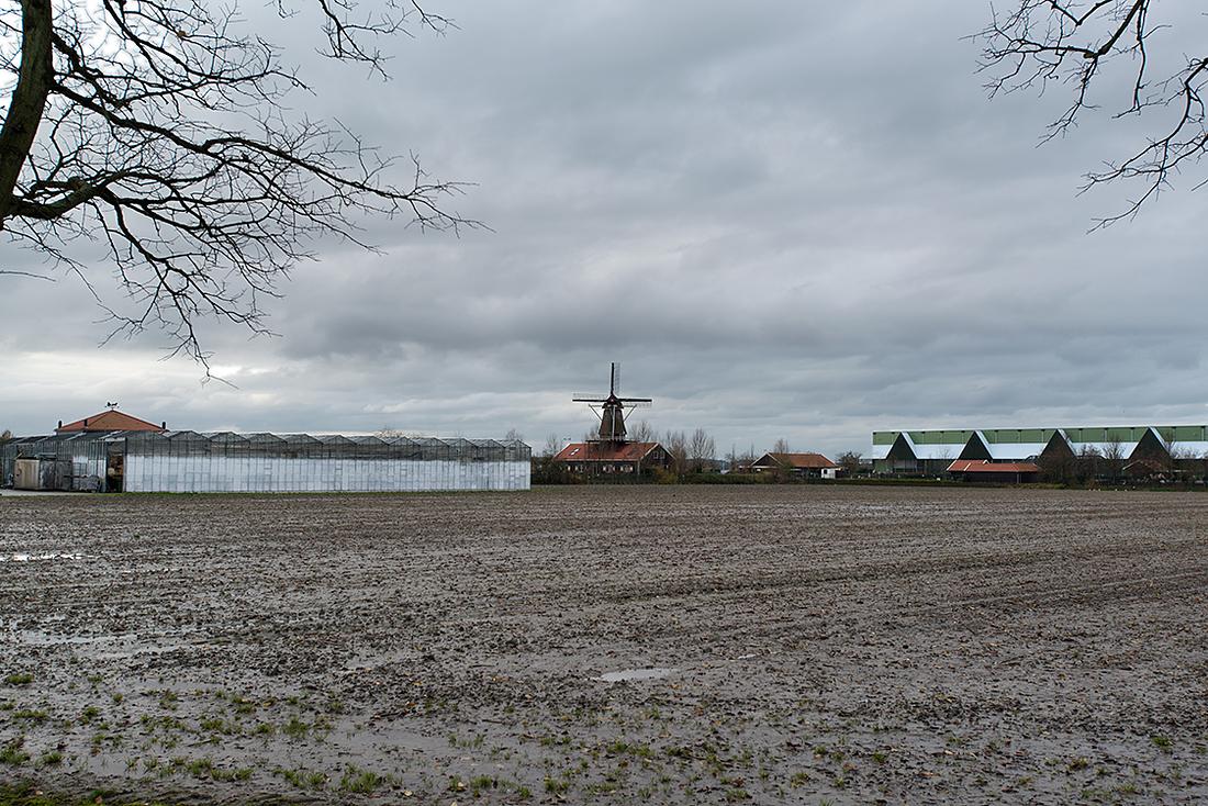 1, Molen 10042 Molen van Piet (Tuitjenhorn), BB (26-11-2013) | Database Nederlandse molens