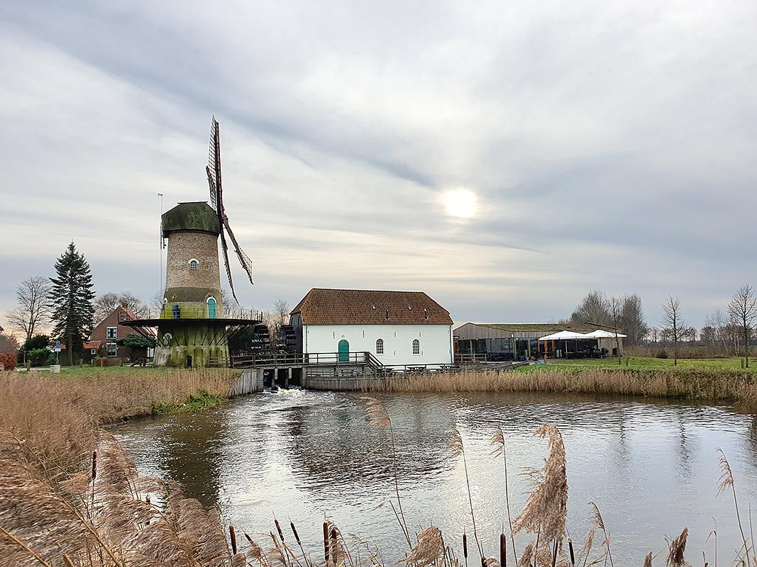 1, Molen 01603 a Kilsdonkse Molen (Heeswijk-Dinther), Pieter Zuijkerbuijk (11-1-2020) | Database Nederlandse molens