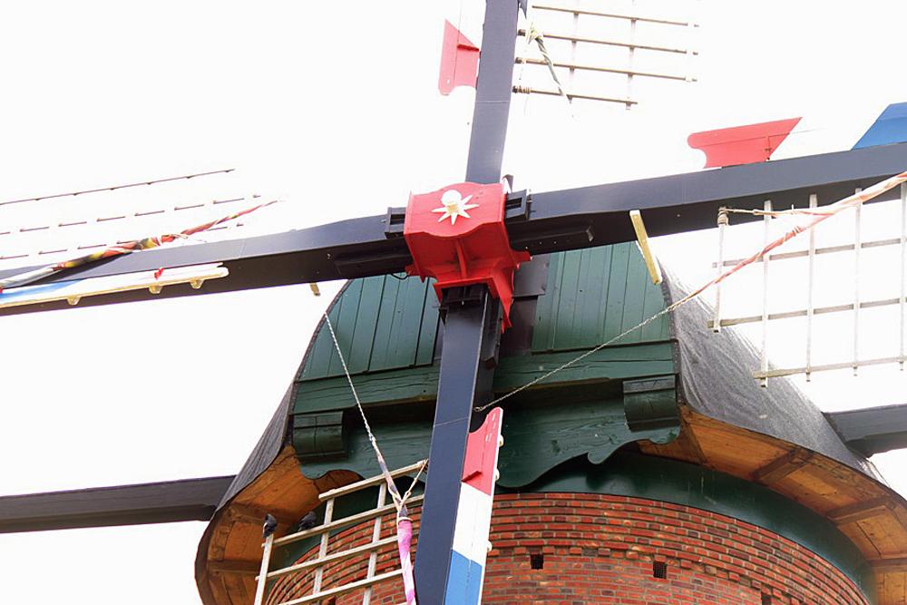 7, Molen 12176 Houthuizer molen (Lottum), Louis Kleijberg (7-10-2012). | Database Nederlandse molens