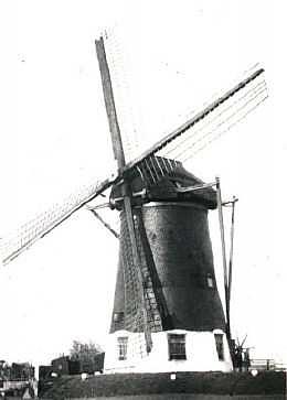 Molen 00081 Papenwegsepolder, Papemolen / Papenwegsemolen (Voorschoten), foto nn. opname 12 sept. 1947 | Database Nederlandse molens