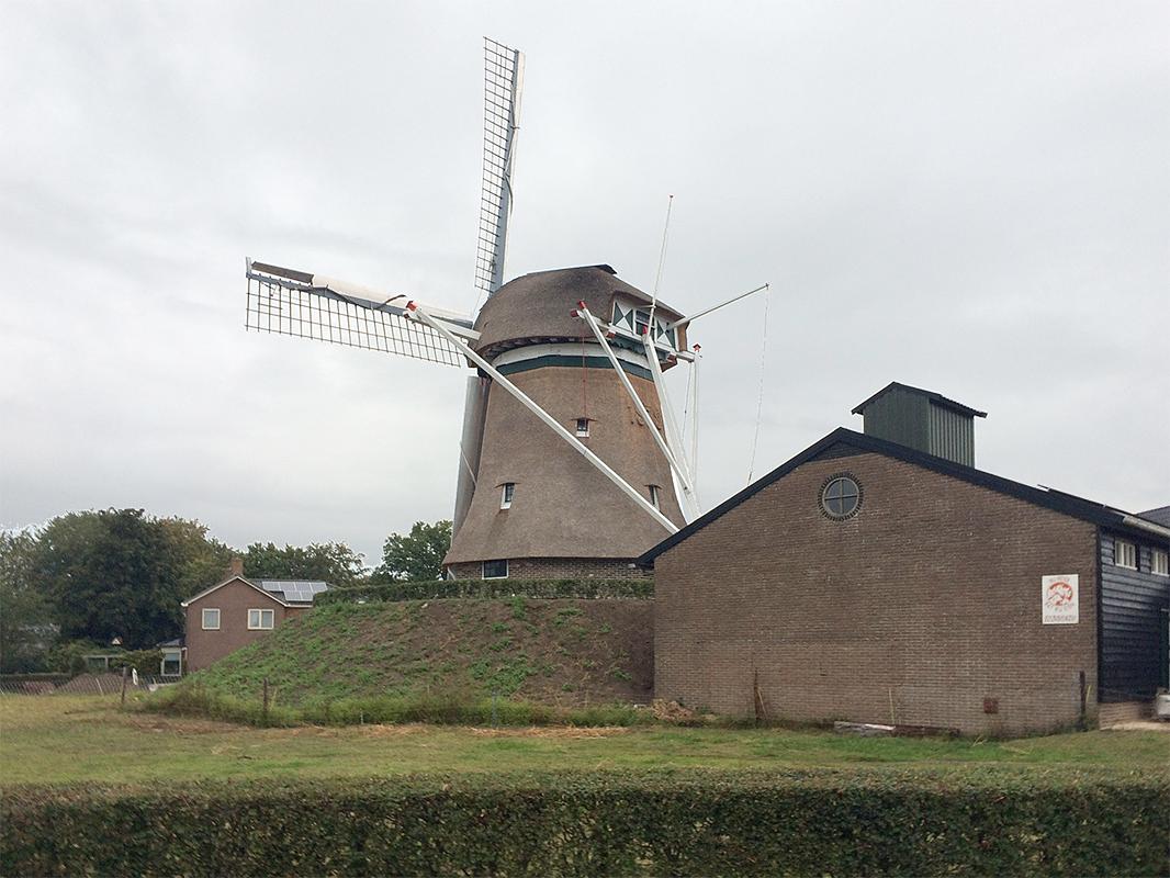 5, Molen 02709 De Meule van Wassens (vh. De Vlijt) (Zuidwolde), Willem Telgen (26-09-2020) | Database Nederlandse molens