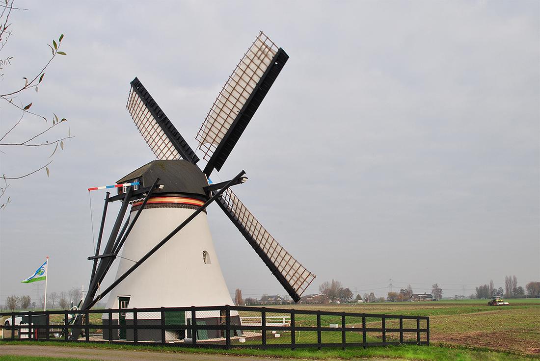 3, Molen 02569 Souburgse Molen (Alblasserdam), Kees Kammeraat (28-11-2020) | Database Nederlandse molens