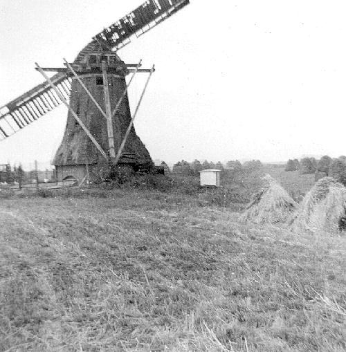 3, Molen 00455 De Kooipolder / De Kooi (Kantens), Foto: Jan Scholte, opn. 1960, coll. Bert Lanjouw | Database Nederlandse molens
