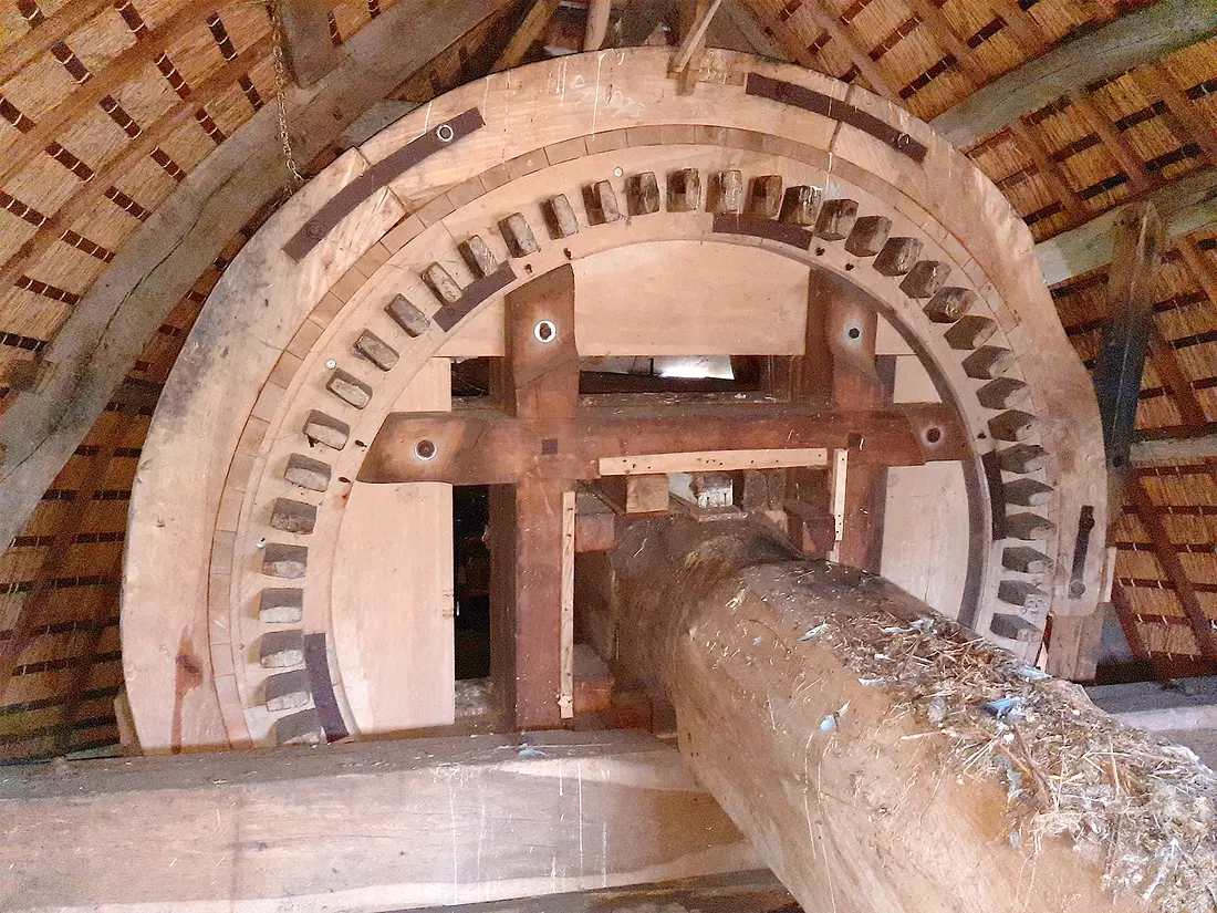 9, Molen 10065 De Berk (Barger-Compascuum), Vincent Mepschen (12-7-2020) | Database Nederlandse molens