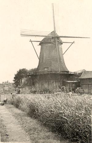 Molen 01270 Welgelegen / Dikke Molen (Zwijndrecht), Ansichtkaart collectie Ton Meesters | Database Nederlandse molens