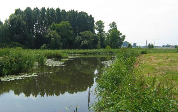 1, Molen 06470 a Polder Heerjansdam, peilmolen /bovenmolen (Zwijndrecht), Foto: K. Sonneveld (27 juli 2008)De molen stond rechts van de bomen, naast de spoorlijn | Database Nederlandse molens