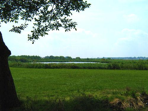 1, Molen 01265 Polder Kijfhoek, Kijfhoekmolen (Zwijndrecht), Foto: K. Sonneveld, 27 juli 2008In het midden van de foto, aan de overkant de loc. van de molen | Database Nederlandse molens