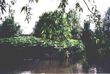 4, Molen 01519 d De Rietvink (Zwijndrecht), Foto: N. Sonneveld. De oude balkenhaven van de molen, waar nu bebouwing staat. | Database Nederlandse molens