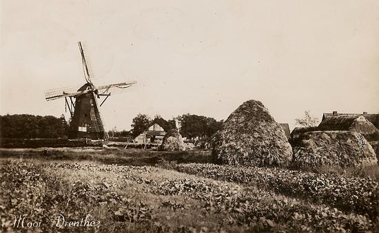 1, Molen 02738 Molen van Eilering / Molen van Wilken / Molen van Fokkers (Barger-Compascuum), Asichtkaart, coll. Frans Weemaes | Database Nederlandse molens
