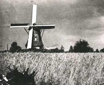 Molen 02625 Molen van Lammers / Molen van Dieperink (Wesepe), coll. DVM | Database Nederlandse molens