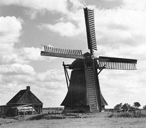 Molen 03735 Arumer Miedpolder, Triolum (Lollum), Foto: A. Bakker, 1950/1966 | Database Nederlandse molens