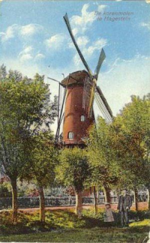 Molen 00249 (korenmolen) (Hagestein), Ansicht collectie Rob Pols | Database Nederlandse molens