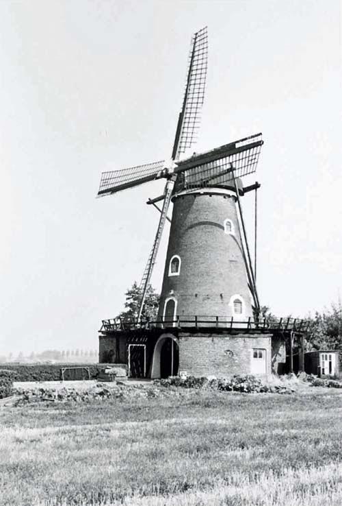 1, Molen 03532 De Hoop (Sint-Maartensdijk), Foto E.W. Sprey, coll. SMD | Database Nederlandse molens