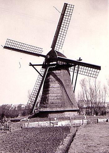 1, Molen 01045 Zemelpolder, Zemelmolen (Lisse), Foto: C.N. de Groot, 1959 | Database Nederlandse molens