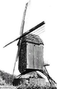 Molen 00217 Molen van Gebr. Betteraay (Baarlo), Ansichtkaart 51 nr 4 | Database Nederlandse molens