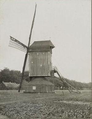 1, Molen 00217 Molen van Gebr. Betteraay (Baarlo), Foto: Hemsing, opname 1929, copyright Rijksdienst voor de Monumentenzorg, Zeist | Database Nederlandse molens
