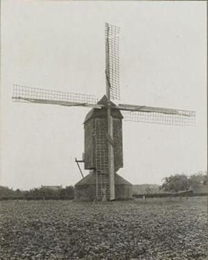 2, Molen 00217 Molen van Gebr. Betteraay (Baarlo), Foto: Hemsing, opname 1929, copyright Rijksdienst voor de Monumentenzorg, Zeist | Database Nederlandse molens