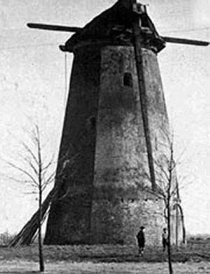 2, Molen 00288 De Windhond (Soest), De molen in 1929 | Database Nederlandse molens