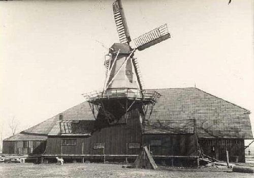 1, Molen 00534 bis Molen van Van Dijk / Bovenrijge (Bovenrijge), Foto: n.n. (coll. V. Mepschen) | Database Nederlandse molens