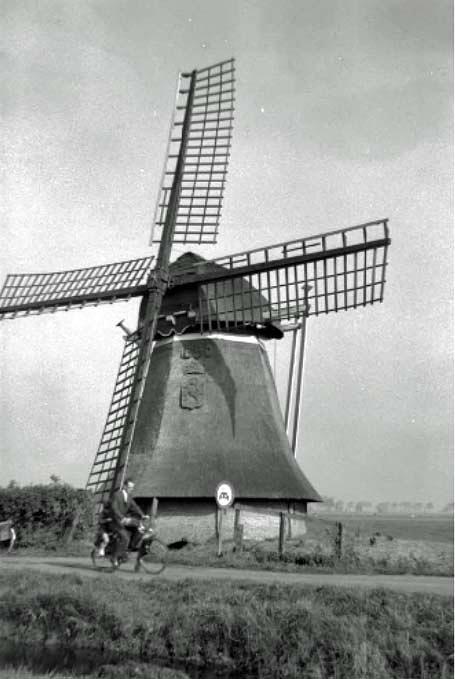 Molen 02983 Cammingabuursterpolder, Cammingha-Buurtstermolen (Leeuwarden/ Ljouwert), coll DHM, foto P.de Jong | Database Nederlandse molens