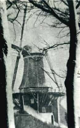 Molen 06497 p Windlust (Delft), Foto: n.n. | Database Nederlandse molens