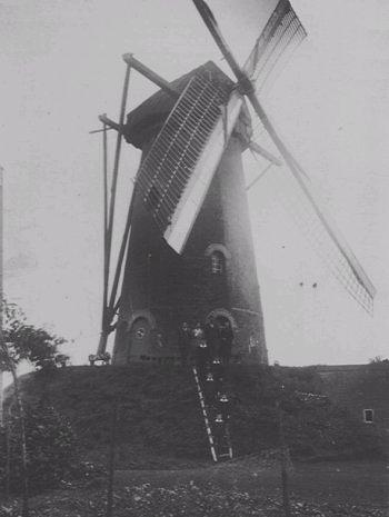 Molen 02595 Meulen van Teeuwes (Ulicoten), Foto: van Chr. van Bussel, coll. Karel Geerts | Database Nederlandse molens