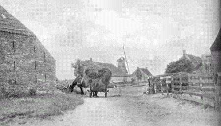 1, Molen 03220 De Verwachting (Hollum), Foto: collectie P. Mulder | Database Nederlandse molens