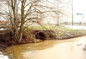 1, Molen 01213 f Polder Kerk en Zanen, Groote Molen (Alphen aan den Rijn), Foto Marius W. de Pijper | Database Nederlandse molens