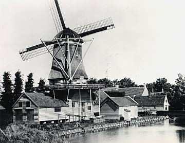 Molen 04910 v De Dikkert (Zaandam-West), Foto: ansichtkaart no. 194 (uitg. K. Tanger) | Database Nederlandse molens