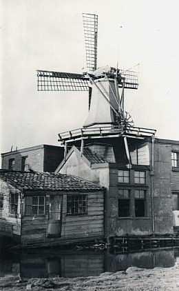 Molen 06393 Het Indië's Welvaren / Indisch Welvaren / vh. De Huisvlijt (Zaandam-West), Ansichtkaart nr. 196 (uitg. K. Tanger) | Database Nederlandse molens