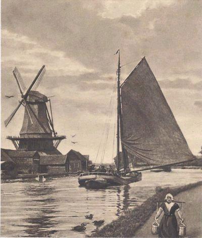3, Molen 01213 m De Oranjeboom (Waddinxveen), Foto: collectie Roger van Raemsdonck | Database Nederlandse molens
