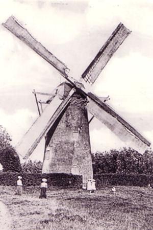 Molen 01909 Molen van Aalbrechtse (Zwartewaal), Deel van onderstaande ansichtkaart | Database Nederlandse molens