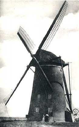 Molen 03603 g Polder Velgersdijk (Zuidland), Ansichtkaart Serie 83, nr. 5 | Database Nederlandse molens