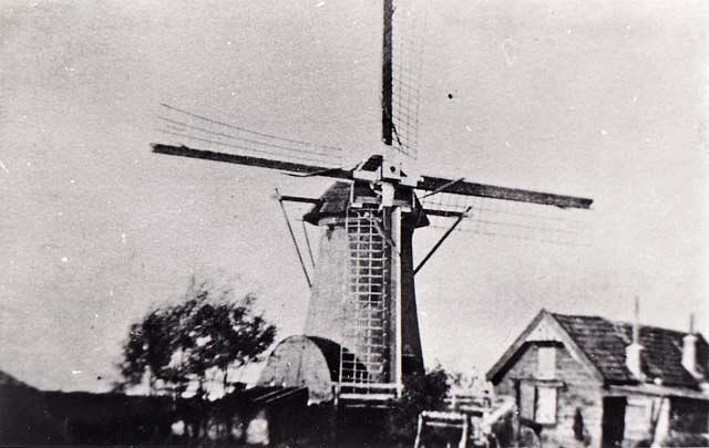 1, Molen 00960 Oude Gelderswoudsche polder, De Steenen Beer (Zoeterwoude), Fotograaf onbekend, coll. DVM | Database Nederlandse molens