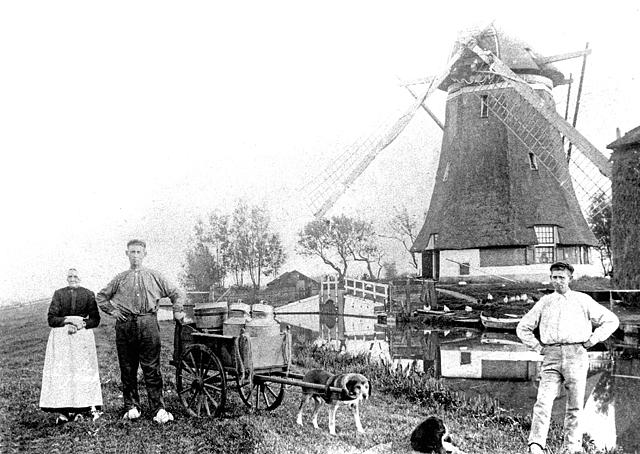 1, Molen 00926 Eendragtspolder, Nr. 8Bovenmolen (Zevenhuizen), Foto coll. Arie Dekker | Database Nederlandse molens