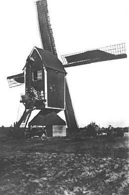 Molen 02507 Molen Willems (Weebosch), Ansichtkaart Serie 51 nr 2 | Database Nederlandse molens
