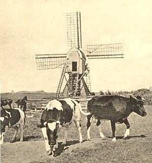 Molen 01793 Hofpolder, Hofmolen (Warmond), Foto: collectie Hans Roest | Database Nederlandse molens