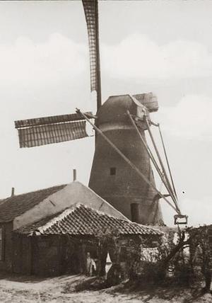 Molen 02585 Korenmolen Anna (Oss), deel van onderstaande ansichtkaart | Database Nederlandse molens