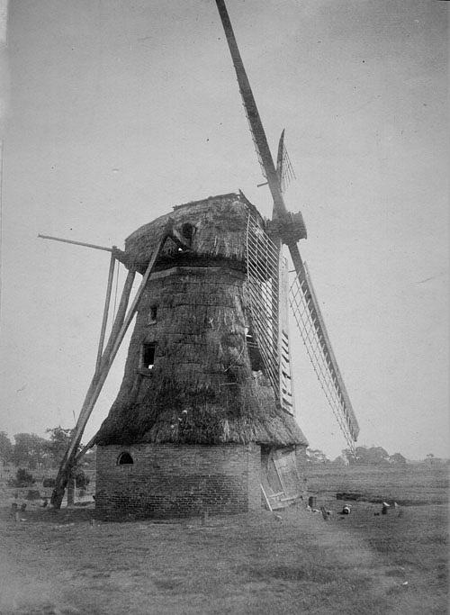 3, Molen 02751 Eendracht maakt macht (Elp), coll. Reinhart Dozy(kunstschilder), overbuurman van Roessingh | Database Nederlandse molens