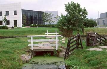 1, Molen 00078 Polder Kamphuizen, Hoop Doet Leven (Rijnsburg), Foto: Willem Jans, 29 juli 2002 | Database Nederlandse molens