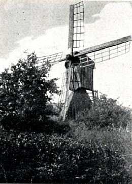 Molen 12336 (spinnenkop) (Paterswolde), Foto: n.n. | Database Nederlandse molens