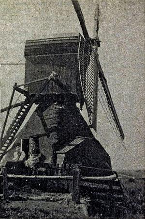 Molen 00079 Ommedijksepolder, Pijzelmolen /Peijzer watermolen (Wassenaar), Foto: coll. DHM,  | Database Nederlandse molens