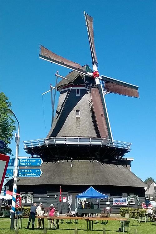 Molen 02632 De Wieker Meule (De Wijk), Erwin de Jonge (19-7-2016) Het gevlucht weer de oude kleurstelling heeft van vroeger, de voorzoom wit en de borden groen. | Database Nederlandse molens
