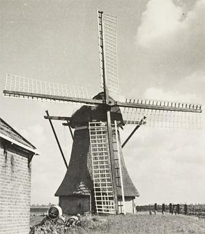 Molen 03833 Zuidoosterpolder, Kooimolen (Menaldum/ Menaam), Foto: opn.1948,  deel van grotere afbeelding, coll. DHM | Database Nederlandse molens