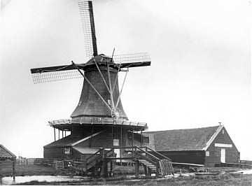 Molen 04915 z De Jonge Dolfijn / De Koperen Berg / De Gekroonde Handschaaf (Westzaan), Foto: verzameling F. Rol | Database Nederlandse molens