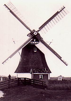 Molen 03176 Waterschap De Weeren, De Weeren (Makkum), Deel onderstaande foto | Database Nederlandse molens