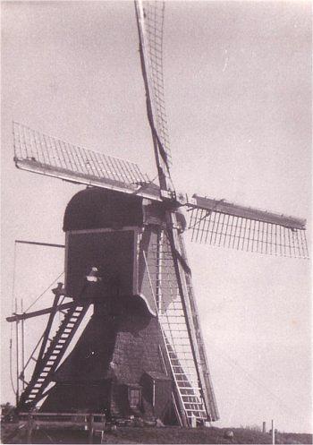 1, Molen 02489 Bospolder, Bosmolen (Leiderdorp), Foto: J. de Groot, opname 1957 crca | Database Nederlandse molens